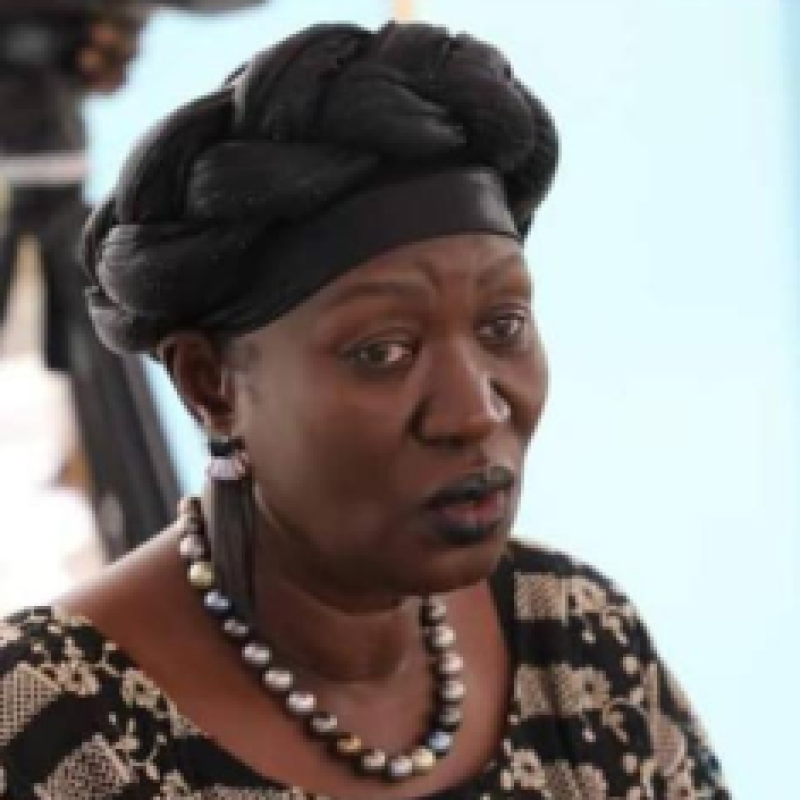 south-sudan-minister-of-general-education-and-instruction-awut-deng-acuil-b138f47437baff7b4da050453d035f221690354921.png