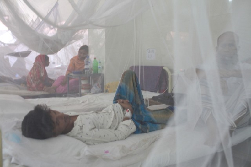 dengue-dengue-afbdc1ea8c7b799a92ec87bb0dcdeb3f1711820192.jpg