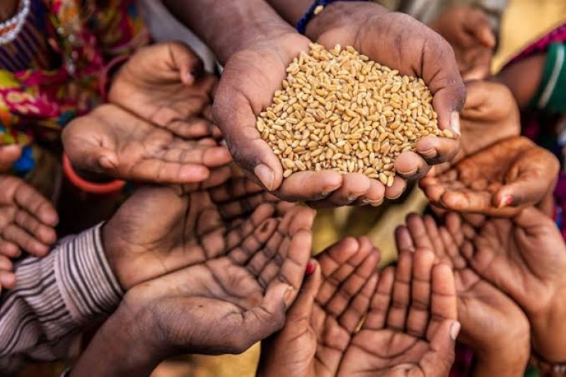 food-crisis-2aad96e2d3dea77aca76471186b326cf1720197785.jpeg