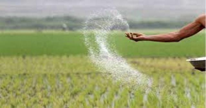 fertilizer-import-378474062fb5752e1d22179128a6789c1727193326.jpg