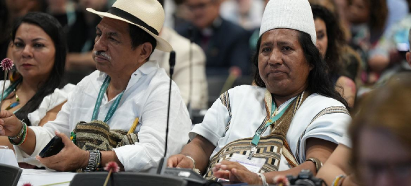 participants-listen-to-the-opening-remarks-at-the-cop16-biodiversity-conference-in-cali-colombia-a61681e5bc87594c43ce7a60f4c54c161730266638.png