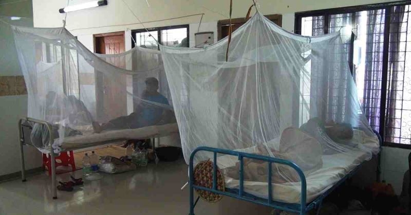 dengue-patients-9ef29c55dc3669c418c337c1815387ed1730999581.jpg