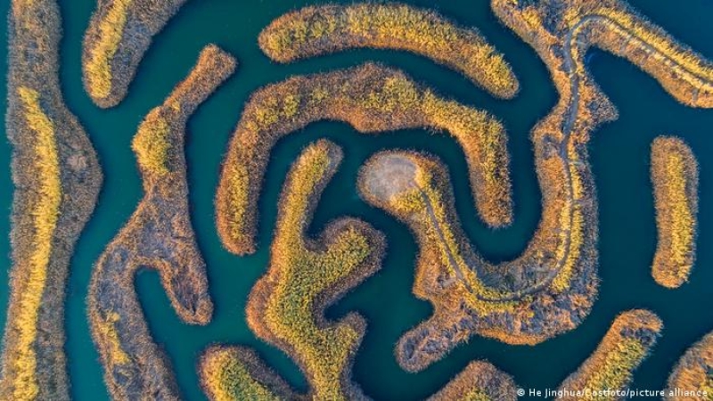 biodiversity-protection-and-habitat-protection-are-underway-in-chinas-baima-lake-national-wetland-park-92e8cd16b22288e66e7e8adddc09f0581731084838.jpg