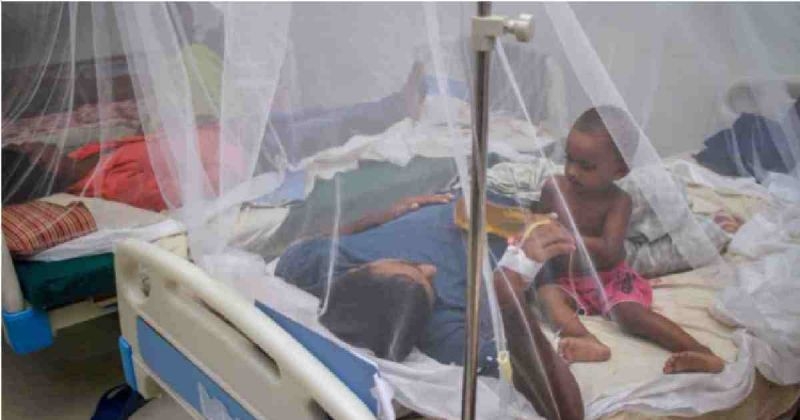 dengue-patients-in-a-dhaka-hospital-7844db6bb1cd6351f9112160871a28c31731773513.jpg