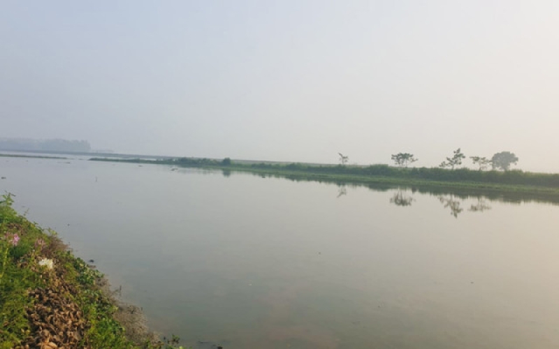 more-than-a-hundred-farming-families-in-rouyail-and-alampur-villages-in-sunamganj-are-now-worried-about-their-crops-as-a-badly-planned-road-caused-waterlogging-37b84e5c84d9dd8cbd774744a97a24701736048819.jpg