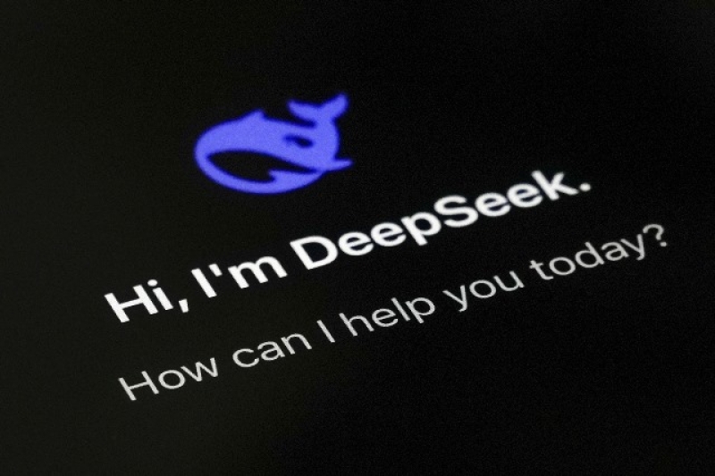 hi-i-am-deepseek-28bfc7df1c3a7bf5427828ce4daac7d31738295768.jpeg