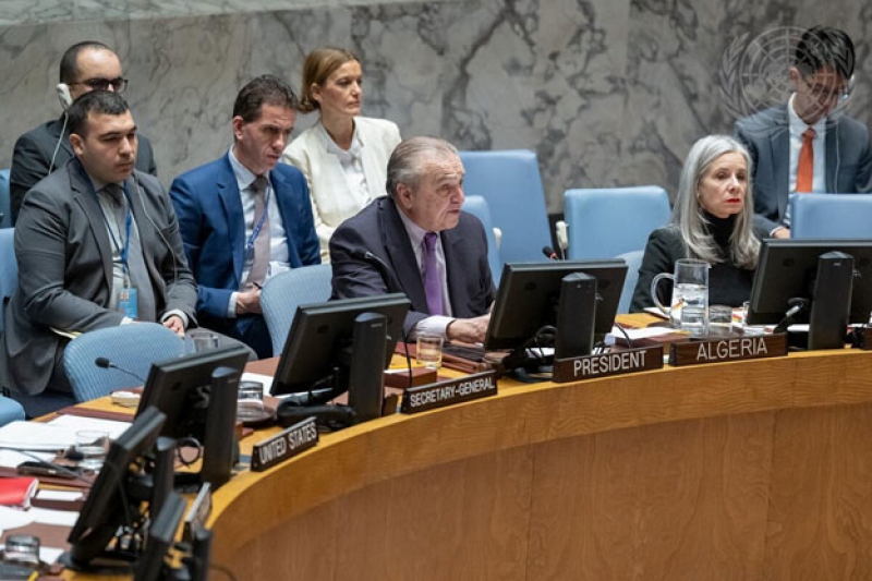 un-security-council-met-on-january-28-to-discuss-the-current-situation-in-palestine-following-the-israel-hamas-ceasefire-a58e083c986d7a6efea397ddf13c6bb41738300301.jpg