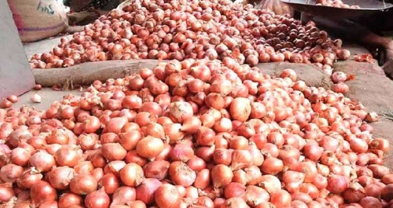 onion-8eaa10d1a33a28200a7c7684919b66c71742701534.jpeg