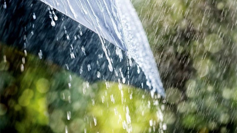 rainfall-f6ec5ccdcfe566ea73406fa0be721c441745207835.jpg