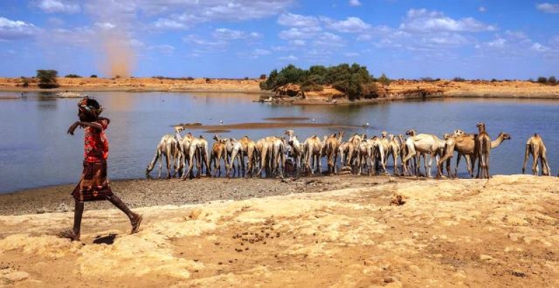 a-scene-from-the-somali-region-of-ethiopia-51b26e8d6e9885031a2dd8d3525712061745378797.jpg