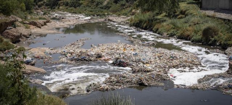 plastic-pollution-poses-a-global-threat-devastating-ecosystems-on-land-and-in-water-5a9f7691a1c8225f8dea8b56dc226b4a1749146836.jpg