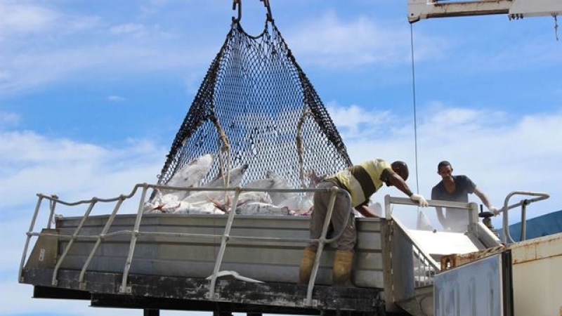 promoting-sustainable-fishing-in-the-sea-e71154469a6556b1863568064ec77f6d1749358190.jpeg