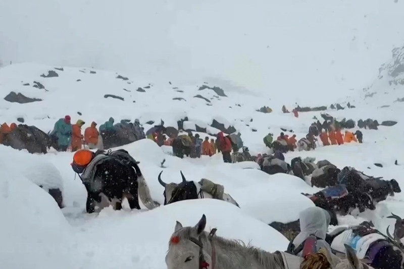 villagers-with-their-oxen-and-horses-ascend-the-mountain-during-rescue-efforts-to-reach-hundreds-of-hikers-trapped-by-heavy-snow-at-tourist-campsites-on-a-slope-of-mount-everest-in-tibet-on-sunday-oct-d68661695dbeed39c01e7315d80c55331759896564.jpg