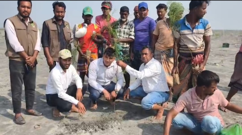 plan-to-plant-40000-saplings-at-char-bijoy-in-kuakata-dee32ef1f6b7768b4074d6e4faaa5ac31760374940.jpg