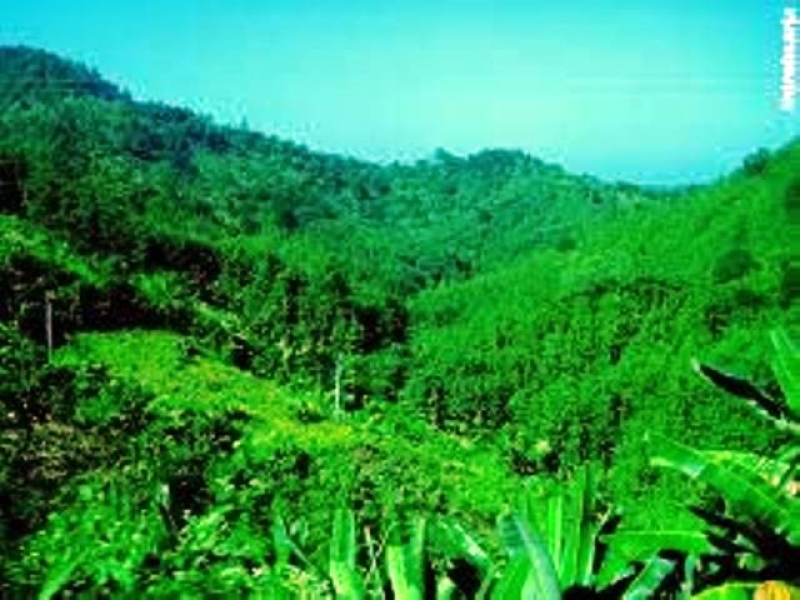 rangamati-hill-district-photo-collected-cef9c594048c0297dcef0539a0b265561762192126.jpg