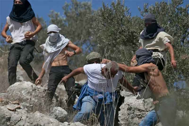 masked-israeli-settlers-attack-palestinian-olive-farmers-in-the-west-bank-211de42c32ee4795ec36d4943cbe27aa1765645232.jpg