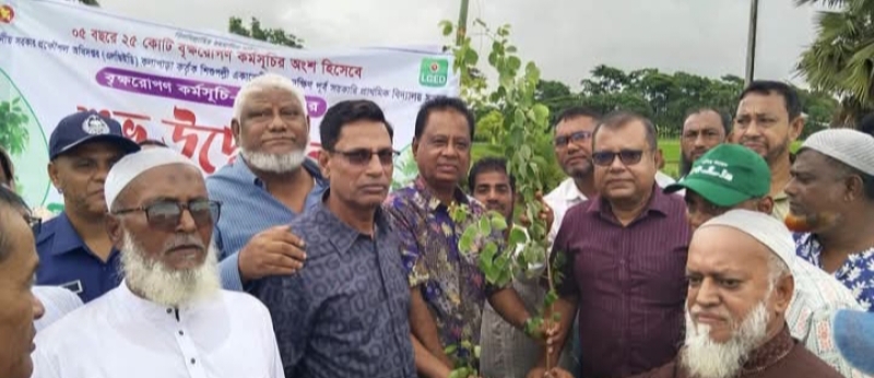 mp-mosharraf-hossain-opens-tree-plantation-programme-in-kalapara-on-sunday-5-july-2026-0e5783293b884247f5bc7d9e7c5d17691783269897.jpg