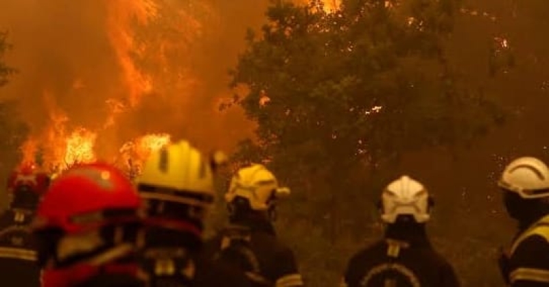 img-20260725-wa0001-e0f6e1572411d7861b899e1f9ce126b31784953054.jpg