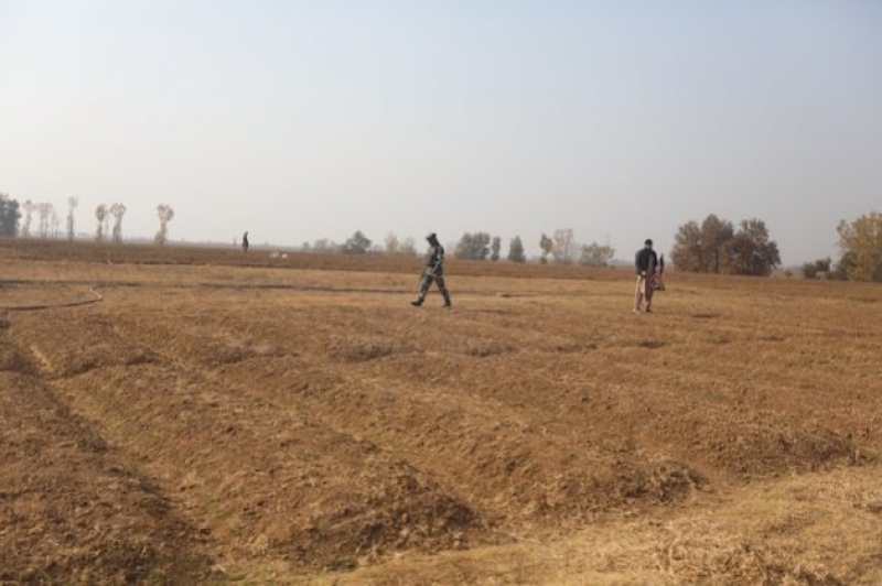 extremeweatheragriculture-2fd140b00f9fc7c284cc7c255d3641d61785397589.jpg