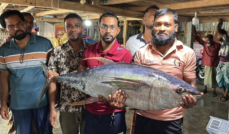 yellowfin-tuna-caught-in-the-bay-of-bengal-a087b3cc43d90a95d959afc842ade4f11785587278.jpg