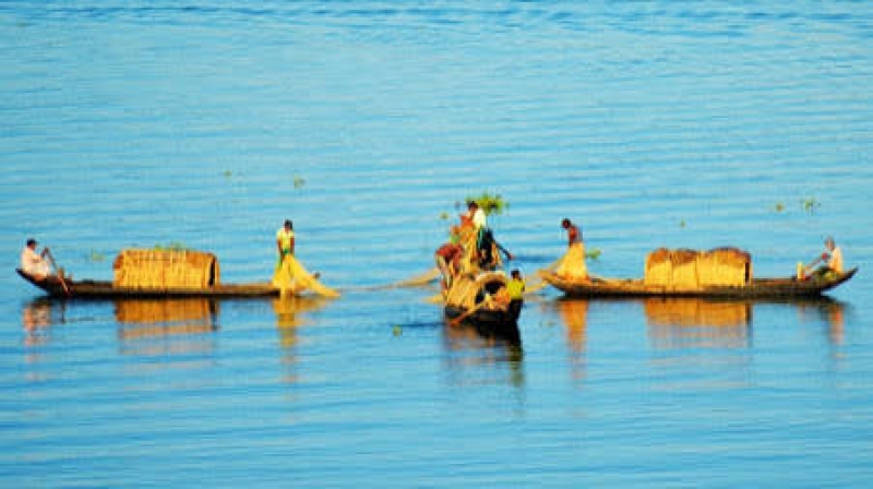 images5-8c2ed406d854016debed8e85e94819801786252397.jpg
