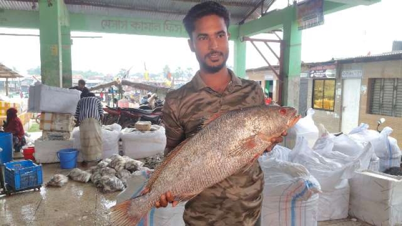kalo-datina-fish-sold-for-taka-40000-in-kalapara-e7fedc2dda9491b5527fb03ea1b7a5dc1788870820.jpg