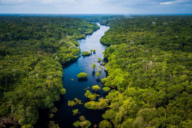 brazilian-amazon-rainforest-b4e2ec831a61bd2f8d9414ed4d5be7fd1792733001.jpeg