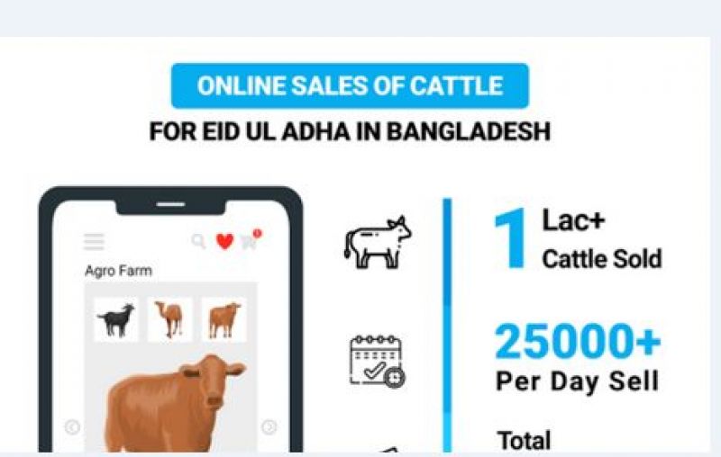 cattle-market-b-online-e980ec06f55155c84b3dc5c087374f831626711189.jpg