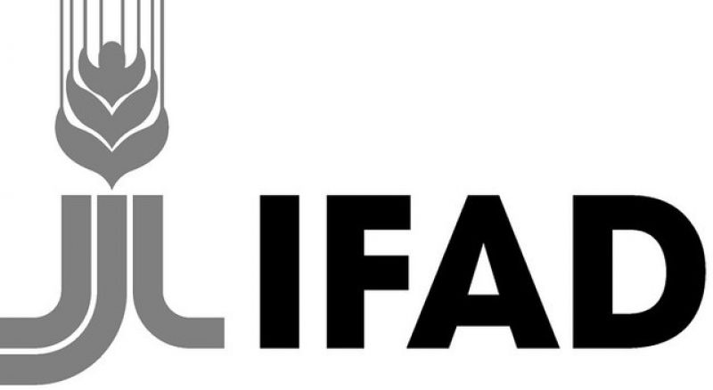 ifad-logo-wikimwdia-commons-c2cfe9b827870bb7e89d2fd146f7a66c1626766744.jpg