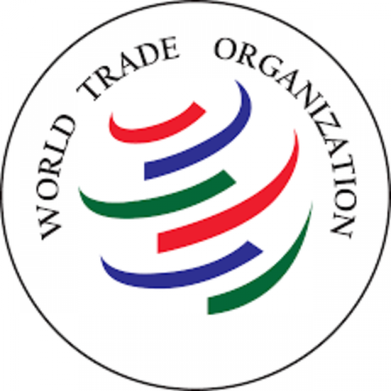 wto-c2f3316e7b08dbb88d08225de4f4245a1628485122.png