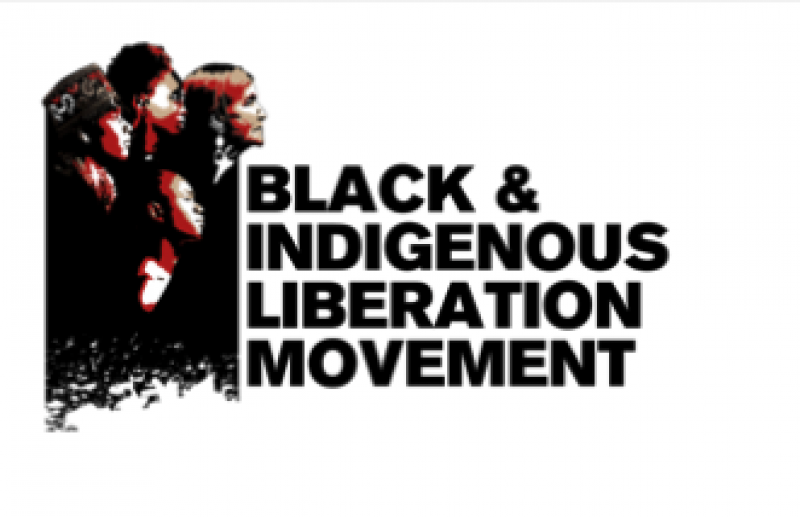 black-and-indigenous-liberation-movement-logo-a3a8e2caf115629d89f9ad941f9b53c81629541355.png