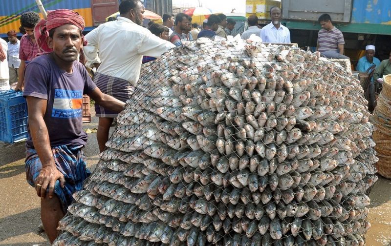 fish-landing-ghat-wholesale-market-in-chittagong-7f85984639f9387fedaeb7f44f27e21e1631700174.jpg