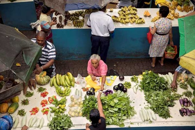 food-vendor-sells-produce-at-victoria-market-in-port-victoria-seychelles-7560899be37f83e7bd3f668da03899b91632204197.jpg