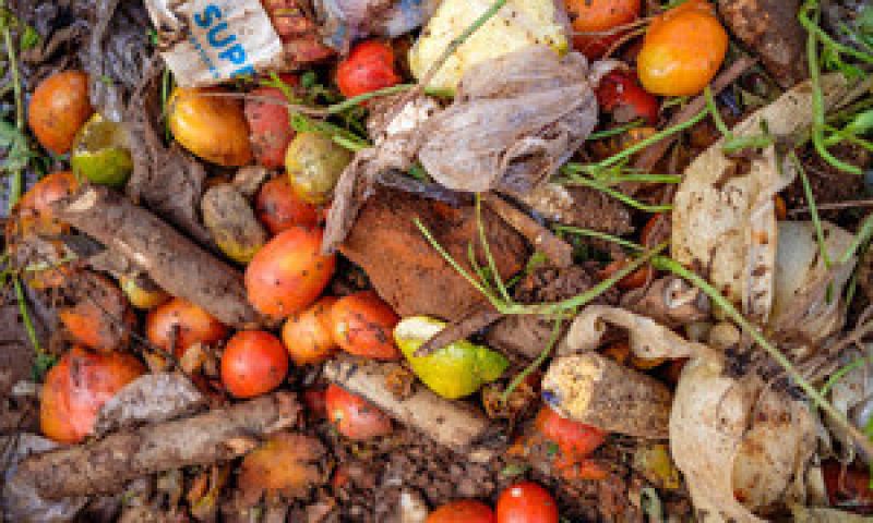 food-waste-pictured-here-at-lira-market-in-uganda-is-a-significant-challenge-for-farmers-and-vendors-alike-b935c68fb7c133f936fe519f10e43aa71632901832.jpg