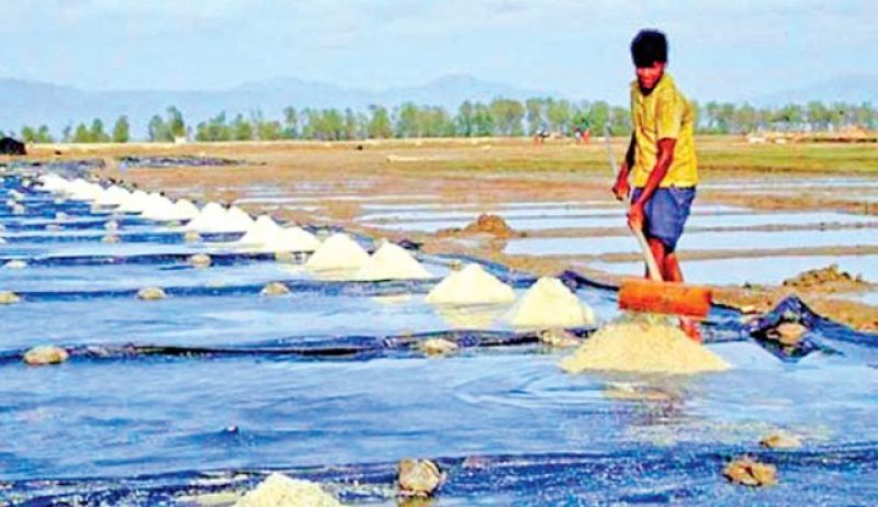 salt-farmer-working-on-his-salt-bed-in-bangladesh-2ebd1f33471ba5b3b8b39817abefdd461637647359.jpg