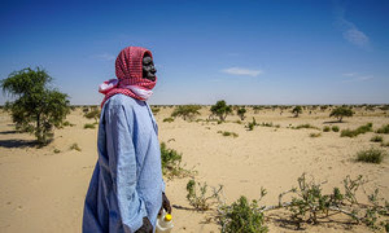 drought-and-desertification-caused-by-climate-change-un-news-a6dfb73391d4f04917733c6b268311551641873871.jpg