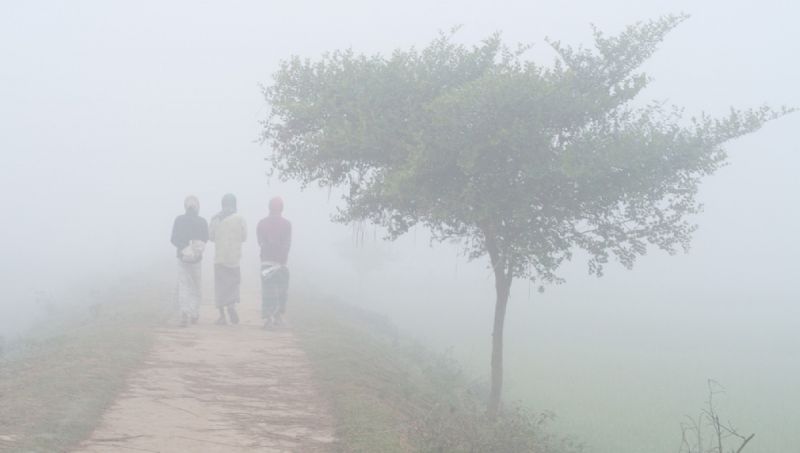 fog-blankets-the-the-hirizon-in-the-countryside-as-a-conlwave-sweeps-across-bangladesh-photo-4a0ec7a76677307a6267433a81ad3ee21642412470.jpeg