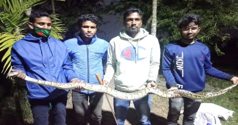 python-rescued-from-a-pond-before-release-in-the-sundarbans-on-wednesday-jan-19-2022-4e3fccf02ce9233b8616ab7dc633fce71642604163.jpg