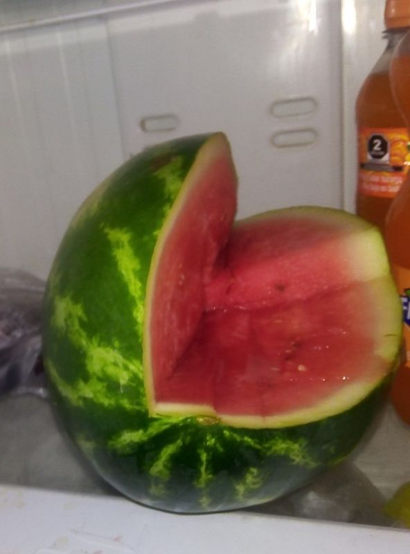 watermelon_20210215_203530_347_2-d924aa76229b23d9aee5fd0cdf46f4691649850442.jpg