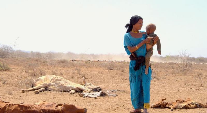 drought-a-mother-carries-her-child-past-the-carcasses-of-livestock-that-died-as-a-result-of-a-severe-drought-in-marsabit-kenya-c93b12dfd562a171d80f27a0a467df7a1652421644.jpg