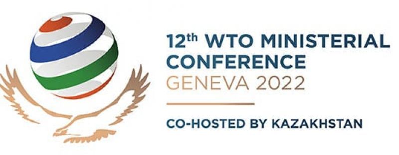 wto-12th-ministerial-22138323d842a9b4776cfd3815c0a0171655882493.jpg