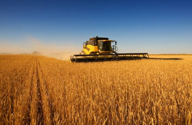 wheat-harvest-4b90d70974dcb0a43faaa0423a6568181659169637.jpg