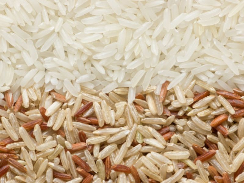 rice-3767b450824877f2b8f284f7a56254401664631109.jpg