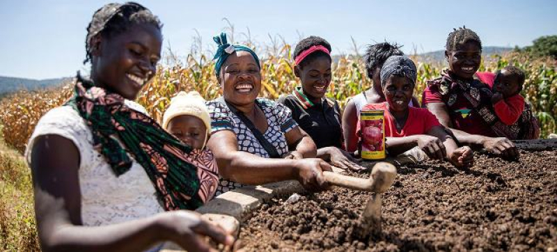 women-learn-how-to-farm-their-land-in-chipata-zambia-7b87d40b34cb76eebb6a3b9e039e6fe51680714310.jpg