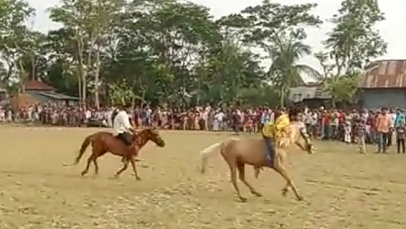 a-partial-view-of-horse-race-held-in-kalapara-2-a6a78e1fd16235d3c9113f98e6ecd2711684428312.jpg
