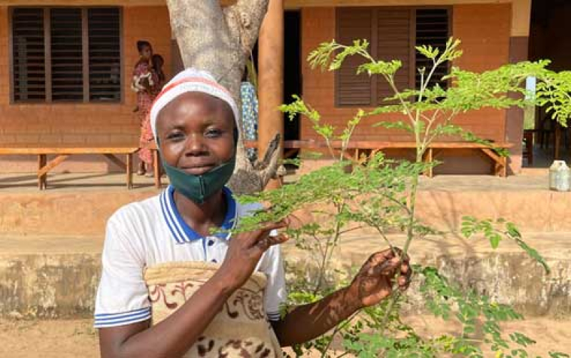 food-security-manou-gounou-a-volunteer-trainer-for-food-security-stands-with-a-moringa-plant-at-gbegourou-epicenter-in-benin-in-2021-cbddcd74809c711d39f43c4db522a9f71684990715.jpg