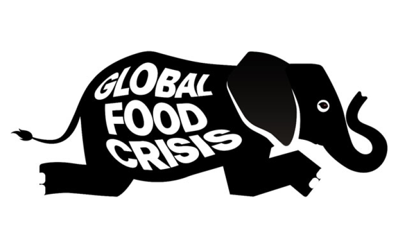 global-food-crisis2-41097a8254186bda12ebf0962a0aec911695886255.jpg