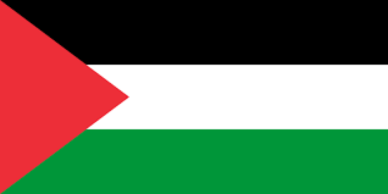 palestine-flag-e41794c60a001cf1de53bcab130e95781700589552.png