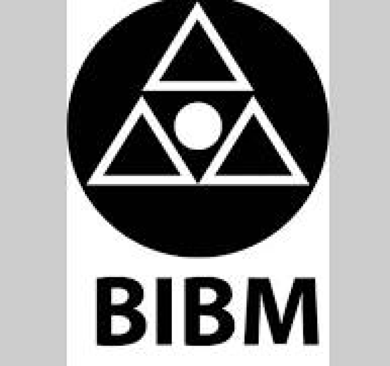 bibm-workshop-b1fc580c8e9891e96a73e9a35ecd6b401709132892.jpg