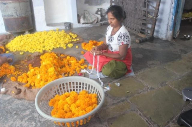 seema-mali-at-her-odni-chawl-one-room-home-in-ahmedabad-city-making-marigold-garlands-to-be-sold-to-temple-devotees-in-the-evening-272bb816effef313e961367921953d291710870442.jpg